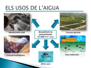 Abasteciment urbà     Actualment es   Consum agrícola
                        consumeixen
                       37.000 hm3/any




Consum hidroeléctric                    Usos industrials



                         Altres usos
 