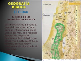 El Clima El clima de las  montañas de Samaría  Las montañas de Samaría y, especialmente las de Judá, aunque influenciadas por el viento del mar, son regiones ásperas de vegetación bastante pobre, debido a su altura y a la naturaleza de su terreno. En esta región predomina el cultivo de la vid y del olivo.  