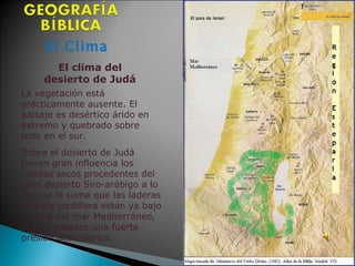 El Clima El clima del  desierto de Judá  La vegetación está prácticamente ausente. El  paisaje es desértico árido en extremo y quebrado sobre todo en el sur.  Sobre el desierto de Judá tienen gran influencia los vientos secos procedentes del gran desierto Siro-arábigo a lo cual se le suma que las laderas de esta cordillera están ya bajo el nivel del mar Mediterráneo, lo cual produce una fuerte presión atmosférica.  