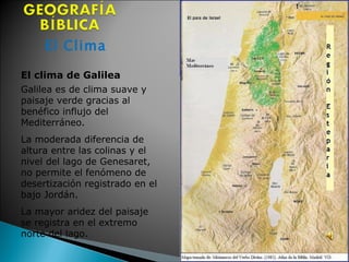 El Clima El clima de Galilea  Galilea es de clima suave y paisaje verde gracias al benéfico influjo del Mediterráneo.  La moderada diferencia de altura entre las colinas y el nivel del lago de Genesaret, no permite el fenómeno de desertización registrado en el bajo Jordán.  La mayor aridez del paisaje se registra en el extremo norte del lago.  