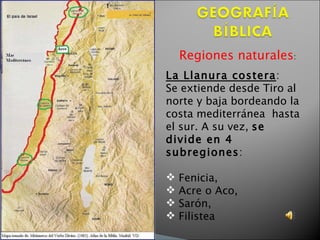 Regiones naturales :  La Llanura costera :  Se extiende desde Tiro al norte y baja bordeando la costa mediterránea  hasta el sur. A su vez,  se divide en 4 subregiones : Fenicia, Acre o Aco,  Sarón,  Filistea   