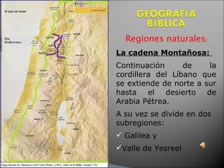 Regiones naturales :   La cadena Montañosa:  Continuación de la cordillera del Líbano que se extiende de norte a sur hasta el desierto de Arabia Pétrea.  A su vez se divide en dos subregiones:  Galilea y  Valle de Yesreel  