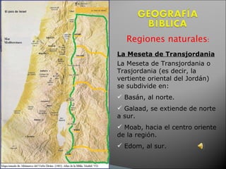 Regiones naturales :   La Meseta de Transjordania La Meseta de Transjordania o Trasjordania (es decir, la vertiente oriental del Jordán) se subdivide en:  Basán, al norte.  Galaad, se extiende de norte a sur.  Moab, hacia el centro oriente de la región.  Edom, al sur.  