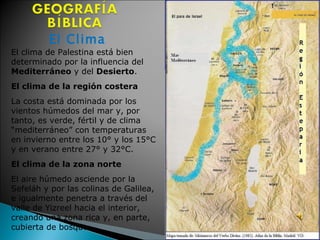 El Clima El clima de Palestina está bien determinado por la influencia del  Mediterráneo  y del  Desierto .  El clima de la región costera La costa está dominada por los vientos húmedos del mar y, por tanto, es verde, fértil y de clima “mediterráneo” con temperaturas en invierno entre los 10° y los 15°C y en verano entre 27° y 32°C.  El clima de la zona norte  El aire húmedo asciende por la Sefeláh y por las colinas de Galilea, e igualmente penetra a través del valle de Yizreel hacia el interior, creando una zona rica y, en parte, cubierta de bosque.  