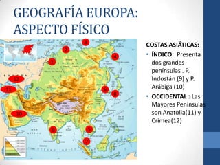 GEOGRAFÍA EUROPA:
     ASPECTO FÍSICO
                  3
                                      COSTAS ASIÁTICAS:
              2
                                  4   • ÍNDICO: Presenta
          1                             dos grandes
                                        penínsulas . P.
     12                                 Indostán (9) y P.
11                            6         Arábiga (10)
                                  8
                                      • OCCIDENTAL : Las
                                        Mayores Penínsulas
     10                   2             son Anatolia(11) y
                                        Crimea(12)
          9           5

                  7
 