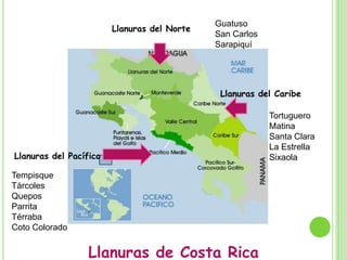 Sistema montañosos secundarioSerranías de Nicoya y Osa.Los cerros de Nicoya son redondeados y de poca alturaLos cerros de Osa son puntiagudos por la acción de la Placa Cocos Fila Brunqueña.También es conocida como fila costera por su cercanía al Oceano Pacífico, que recorre de forma paralela.Posee alturas entre los 600 y 1500 msnm.