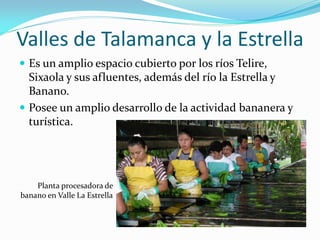 Valles de Talamanca y la Estrella
 Es un amplio espacio cubierto por los ríos Telire,
  Sixaola y sus afluentes, además del río la Estrella y
  Banano.
 Posee un amplio desarrollo de la actividad bananera y
  turística.




    Planta procesadora de
banano en Valle La Estrella
 