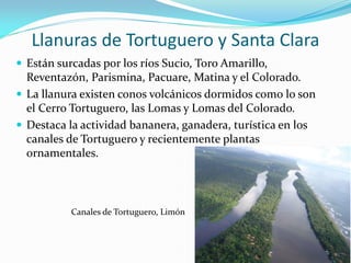 Llanuras de Tortuguero y Santa Clara
 Están surcadas por los ríos Sucio, Toro Amarillo,
  Reventazón, Parismina, Pacuare, Matina y el Colorado.
 La llanura existen conos volcánicos dormidos como lo son
  el Cerro Tortuguero, las Lomas y Lomas del Colorado.
 Destaca la actividad bananera, ganadera, turística en los
  canales de Tortuguero y recientemente plantas
  ornamentales.



           Canales de Tortuguero, Limón
 