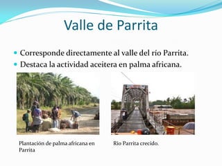 Valle de Parrita
 Corresponde directamente al valle del río Parrita.
 Destaca la actividad aceitera en palma africana.




 Plantación de palma africana en   Río Parrita crecido.
 Parrita
 
