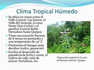 Clima Tropical Húmedo
 Se ubica en zonas como el
  Valle Central, Los Santos, el
  Valle del General, la zona
  Norte (San Carlos) y el
  pacífico Central desde
  Herradura hasta Quepos
 Tiene una estación lluviosa
  de 8 meses en promedio y
  una temperatura de 24° C
 Predomina el bosque semi
  deciduo (cedro, guayacán)
 Facilita el desarrollo de
  ganadería de leche y carne, el
  cultivo de café, caña de         Vegetación tropical en la zona
  azúcar, hortalizas, etc.         de Manuel Antonio, Quepos
 