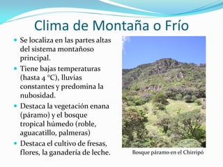Clima de Montaña o Frío
 Se localiza en las partes altas
  del sistema montañoso
  principal.
 Tiene bajas temperaturas
  (hasta 4 °C), lluvias
  constantes y predomina la
  nubosidad.
 Destaca la vegetación enana
  (páramo) y el bosque
  tropical húmedo (roble,
  aguacatillo, palmeras)
 Destaca el cultivo de fresas,
  flores, la ganadería de leche.    Bosque páramo en el Chirripó
 