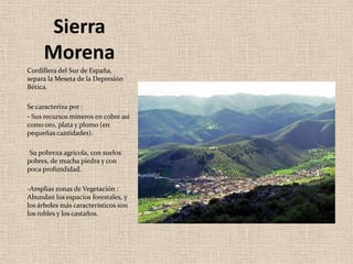 Sierra MorenaCordillera del Sur de España, separa la Meseta de la Depresión Bética.Se caracteriza por :- Sus recursos mineros en cobre así como oro, plata y plomo (en pequeñas cantidades).Su pobreza agrícola, con suelos pobres, de mucha piedra y con poca profundidad. -Amplias zonas de Vegetación : Abundan los espacios forestales, y los árboles más característicos son los robles y los castaños.