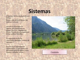 SistemasEl Sistema Ibérico, limita la Meseta central. Su pico más alto es el monte San Lorenzo (2.602m).Situado en el noroeste de España, esta compuesto por Sierras, Macizos  y depresiones (Ebro). Cuenta con zonas glaciares en las cumbres más altas.Su vegetación es diversa (matorrales, pastizales, bosques de montaña…)Y su Fauna es especialmente característica, ya que cuenta con una amplia gama de sapos y ranas (partero, corredor, común…)Cataluña