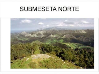 Macizo : Masa sólida y compacta.