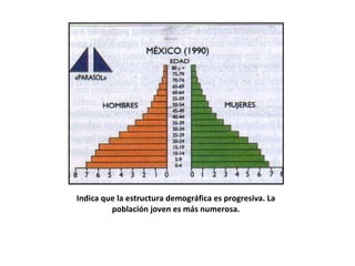 Indica que la estructura demográfica es progresiva. La población joven es más numerosa. 