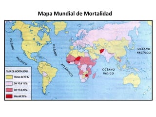 Mapa Mundial de Mortalidad 