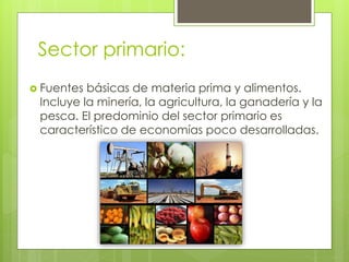 Sector primario:
 Fuentes básicas de materia prima y alimentos.
Incluye la minería, la agricultura, la ganadería y la
pesca. El predominio del sector primario es
característico de economías poco desarrolladas.
 