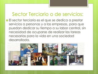 Sector Terciario o de servicios:
 El sector terciario es el que se dedica a prestar
servicios a personas y a las empresas, para que
puedan dedicar su tiempo a su labor central, sin
necesidad de ocuparse de realizar las tareas
necesarias para la vida en una sociedad
desarrollada.
 