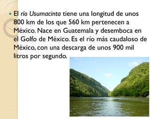  El río Usumacinta tiene una longitud de unos
800 km de los que 560 km pertenecen a
México. Nace en Guatemala y desemboca en
el Golfo de México. Es el río más caudaloso de
México, con una descarga de unos 900 mil
litros por segundo.
 