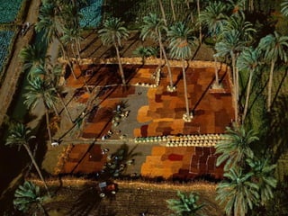 Geografía económica (Elisa Muñoz)