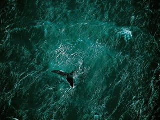 Geografía económica (Laura)