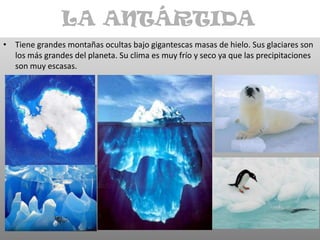 LA ANTÁRTIDATiene grandes montañas ocultas bajo gigantescas masas de hielo. Sus glaciares son los más grandes del planeta. Su clima es muy frío y seco ya que las precipitaciones son muy escasas.