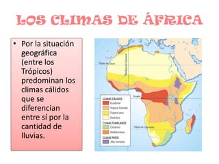 LOS CLIMAS DE ÁFRICAPor la situación geográfica (entre los Trópicos) predominan los climas cálidos que se diferencian entre sí por la cantidad de lluvias.