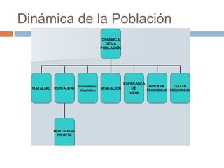 Dinámica de la Población
 