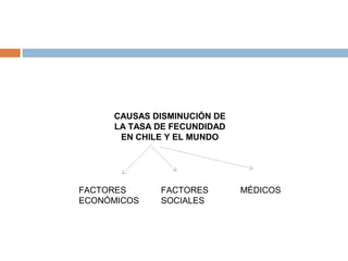 CAUSAS DISMINUCIÓN DE
LA TASA DE FECUNDIDAD
EN CHILE Y EL MUNDO
FACTORES
ECONÓMICOS
FACTORES
SOCIALES
MÉDICOS
 