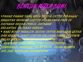 CONTOH KAWASAN:- LEMBAH SUNGAI PAHANG DAN LEMBAH SUNGAI BARAM. RANCANGAN TANAH FELDA SEPERTI JENGKA TIGA SEGI,PAHANG. PEKAN KECIL  SEPERTI PEKAN NANAS DAN TUARAN. PANTAI BARAT SABAH DAN SARAWAK.