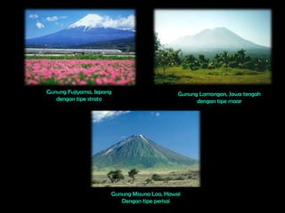 Gunung Fujiyama, Jepang                     Gunung Lamongan, Jawa tengah
   dengan tipe strato                             dengan tipe maar




                      Gunung Mauna Loa, Hawai
                         Dengan tipe perisai
 