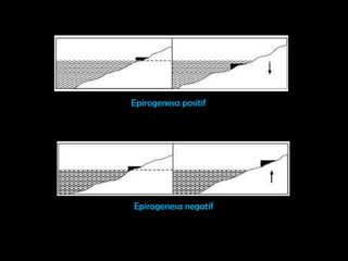 Epirogenesa positif




Epirogenesa negatif
 