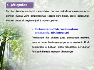 1. Pelapukan
Tumbuh-tumbuhan dapat melapukkan batuan baik dengan akarnya atau
dengan humus yang dihasilkannya. Secara garis besar, proses pelapukan
batuan dapat di bagi menjadi 3 macam, yaitu :


                      • Pelapukan fisis/pelapukan
                        mekanis/ disintegrasi
                      Pelapukan fisis disebut juga pelapukan mekanis,
                      karena proses berlangsungnya secar mekanis. Pada
                      pelapukan ini batuan akan mengalami perubahan
                      fisik baik bentuk maupun ukurannya.
 