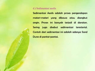 d.) Sedimentasi aeolis
Sedimentasi Aeolis adalah proses pengendapan
materi-materi yang dibawa atau diangkut
angin. Proses ini banyak terjadi di daratan.
Sering   juga   disebut   sedimentasi   teresterial.
Contoh dari sedimentasi ini adalah adanya Sand
Dune di pantai-pantai.
 