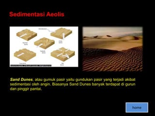Sedimentasi Aeolis




Sand Dunes, atau gumuk pasir yaitu gundukan pasir yang terjadi akibat
sedimentasi oleh angin. Biasanya Sand Dunes banyak terdapat di gurun
dan pinggir pantai.



                                                                   home
 