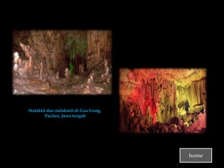Stalaktit dan stalakmit di Goa Gong,
         Pacitan, Jawa tengah




                                       home
 