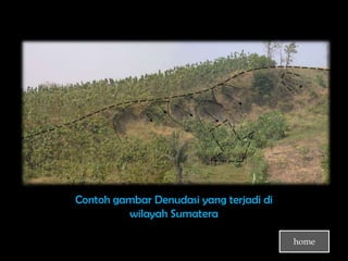 Contoh gambar Denudasi yang terjadi di
         wilayah Sumatera

                                         home
 