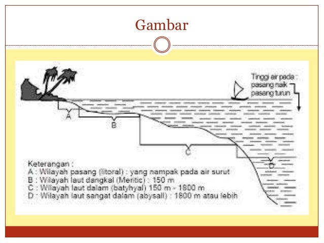 Geografi Zona Pe