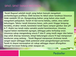 SIFAT- SIFAT TANAH REGOSOL 
Tanah Regosol adalah tanah yang belum banyak mengalami perkembangan profilnya. Oleh karena itu tebal solum tanahnya biasanya tidak melebihi 25 cm. Mengandung bahan yang belum atau masih mengalami pelapukan. Tanah ini berwarna kelabu, coklat, atau coklat kekuningan. Tekstur tanah biasanya kasar, yaitu pasir hingga lempung berdebu, struktur remah, konsistensi tanah lepas sampai gembur dan pH 6-7. Makin tua tanah maka semakin padat konsistensinya. Umumya regosol belum membentuk agregat, sehingga peka terhadap erosi. Umumnya cukup mengandung unsure P dan K yang masih segar dan belum siap untuk diserap tanaman, tetapi kekurangan unsure N tapi mempunyai kesuburan yang sedang . Tanah Regosol mempunyai drainase tanah sangat cepat sehingga tidak potensial untuk pengembangan pertanian. Tanah ini dapat meresapkan air cukup sehingga dapat difungsikan sebagai kawasan lindung untuk resapan air. 
Pedosfer  