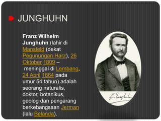 JUNGHUHN
Franz Wilhelm
Junghuhn (lahir di
Mansfeld (dekat
Pegunungan Harz), 26
Oktober 1809 –
meninggal di Lembang,
24 April 1864 pada
umur 54 tahun) adalah
seorang naturalis,
doktor, botanikus,
geolog dan pengarang
berkebangsaan Jerman
(lalu Belanda).
 
