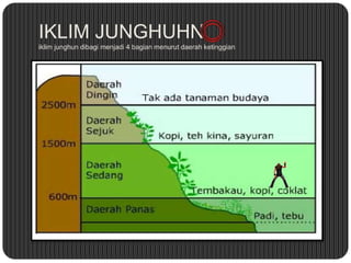IKLIM JUNGHUHN
iklim junghun dibagi menjadi 4 bagian menurut daerah ketinggian
 