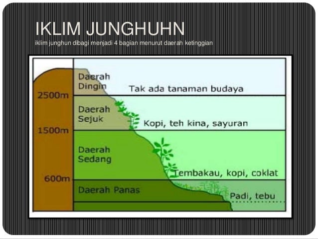 Geografi Iklim Junghuhn By Aditya