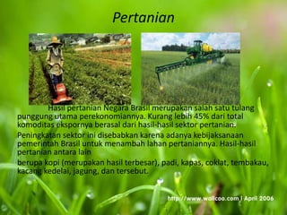 Pertanian
Hasil pertanian Negara Brasil merupakan salah satu tulang
punggung utama perekonomiannya. Kurang lebih 45% dari total
komoditas ekspornya berasal dari hasil-hasil sektor pertanian.
Peningkatan sektor ini disebabkan karena adanya kebijaksanaan
pemerintah Brasil untuk menambah lahan pertaniannya. Hasil-hasil
pertanian antara lain
berupa kopi (merupakan hasil terbesar), padi, kapas, coklat, tembakau,
kacang kedelai, jagung, dan tersebut.
 