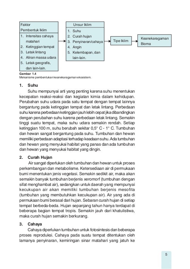 Geografi 46839508