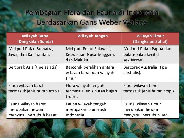 Geografi Kondisi Gografis Indonesia  Kelas 7