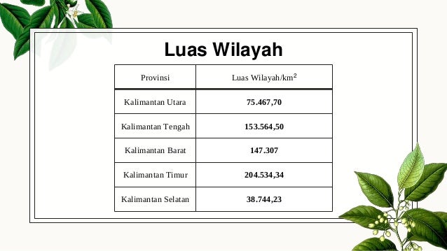 potensi geografi pulau kalimantan 6 638