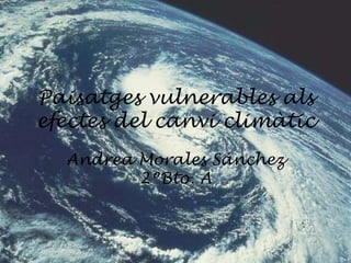 Paisatges vulnerables als efectes del canvi climàtic Andrea Morales Sánchez 2ºBto. A 