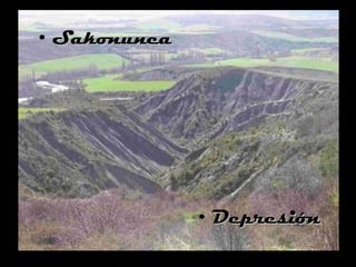 Sakonunea Depresión 