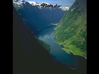 Fiordo 