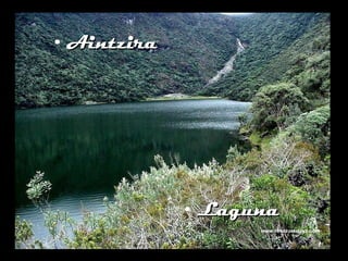 Aintzira Laguna 